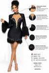 Luxe Crystal Feather Mini Dress(Black)