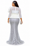 Crystal Mesh Illusion Peplum Maxi Dress(Silver)