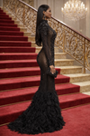 Midnight Luxe Feather Illusion Sheer  Gown